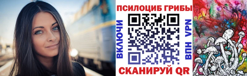 Псилоцибиновые грибы ЛСД  наркошоп  kraken как зайти  Ртищево 